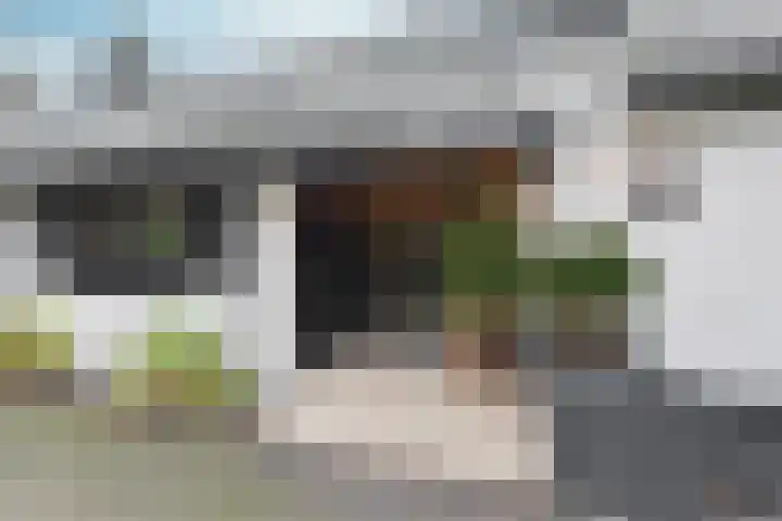 Oranje Nassaulaan 8 Blaricum thumbnail 46