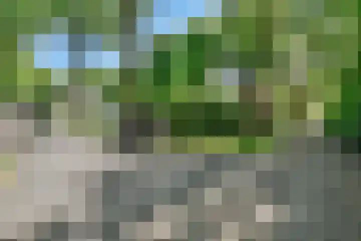 Oranje Nassaulaan 8 Blaricum thumbnail 49