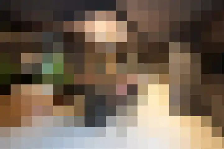 Oranje Nassaulaan 8 Blaricum thumbnail 8