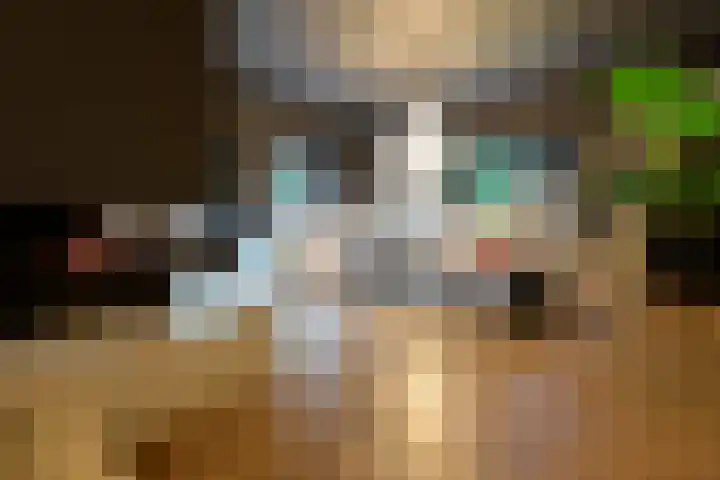 Oranje Nassaulaan 8 Blaricum thumbnail 9