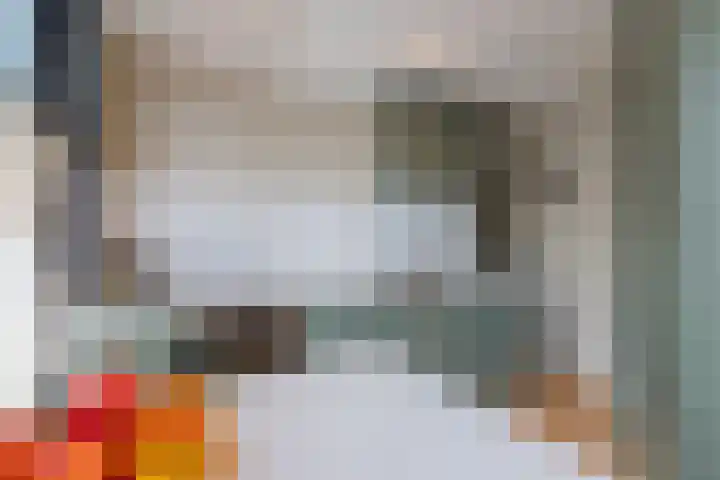 Oranje Nassaulaan 83 Amsterdam thumbnail 11