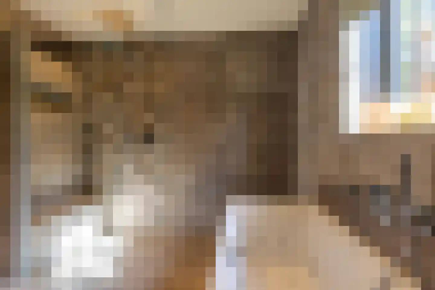 Oranje Nassaulaan 9 Hattem thumbnail 32