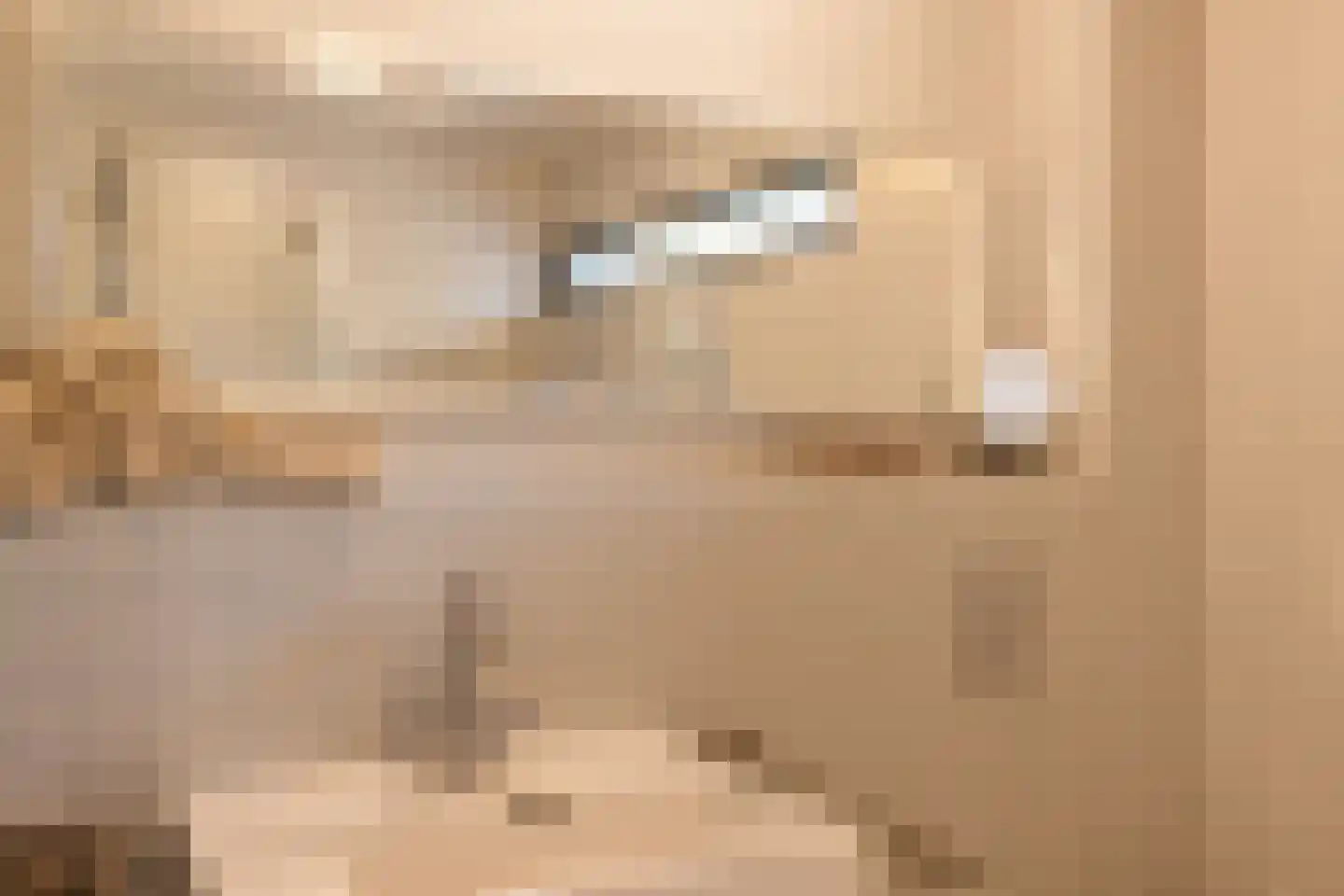 Oranje Nassaulaan 9 Hattem thumbnail 35