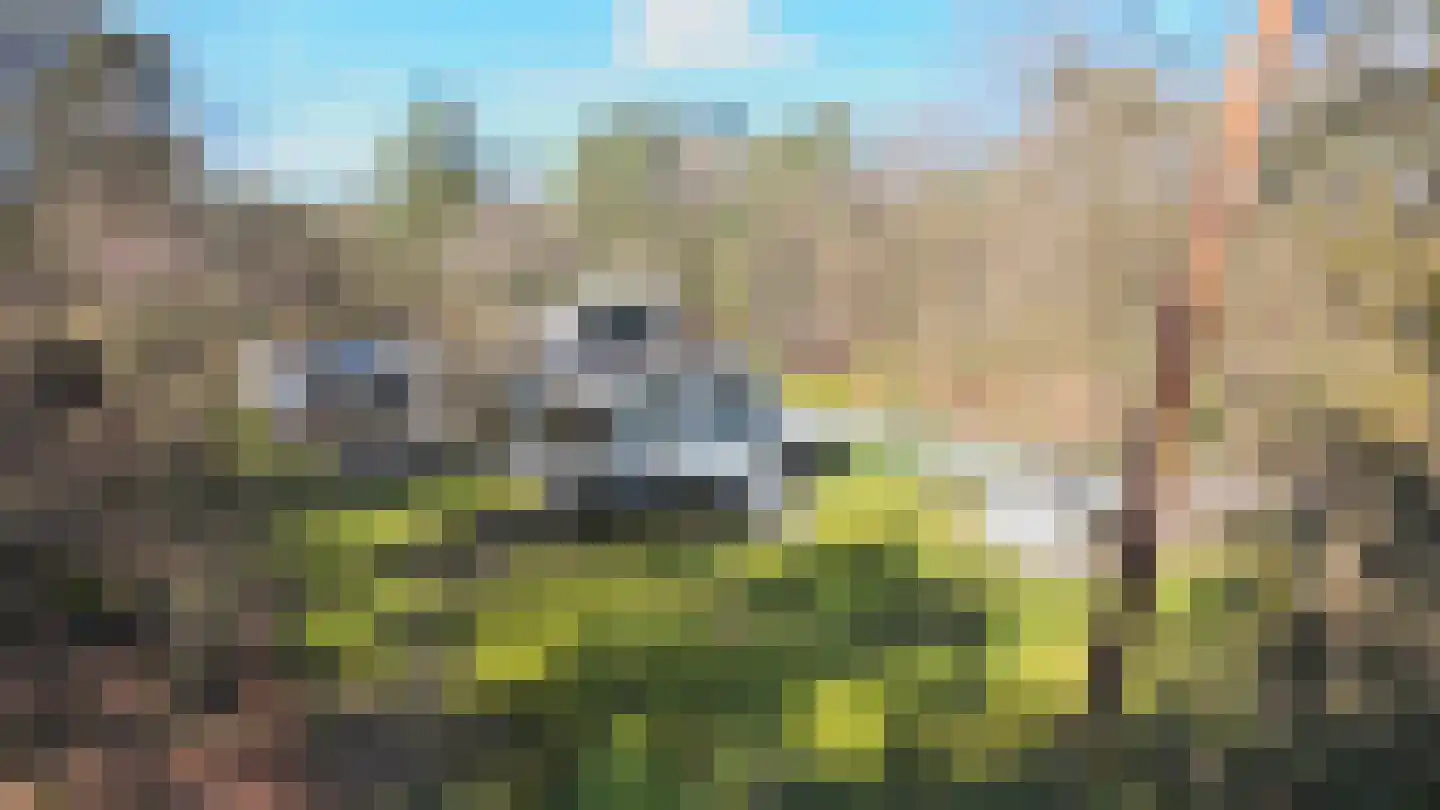 Oranje Nassaulaan 9 Hattem thumbnail 8