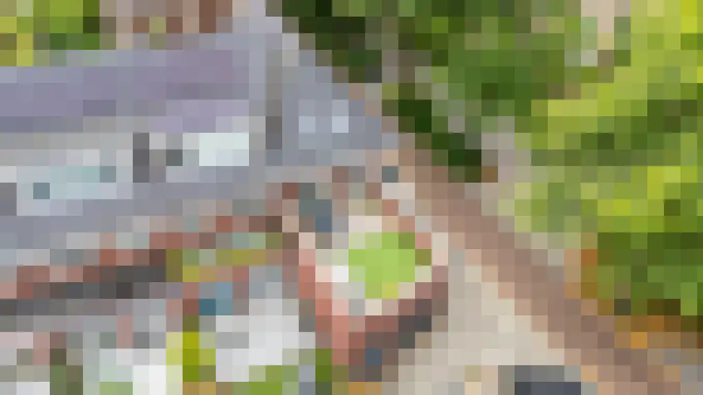 Oranje-Nassaulaan 9 Utrecht thumbnail 34
