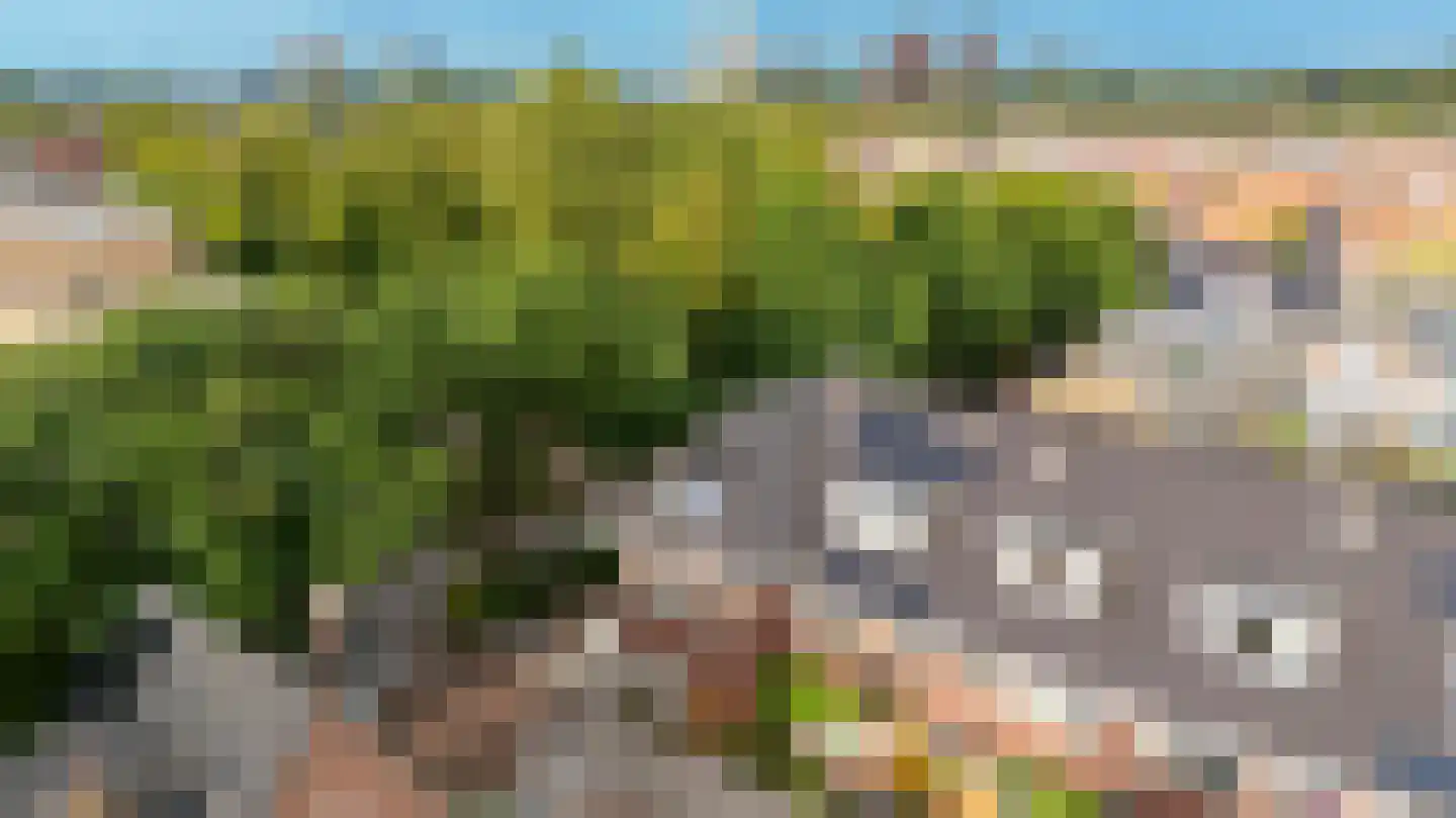 Oranje-Nassaulaan 9 Utrecht thumbnail 35