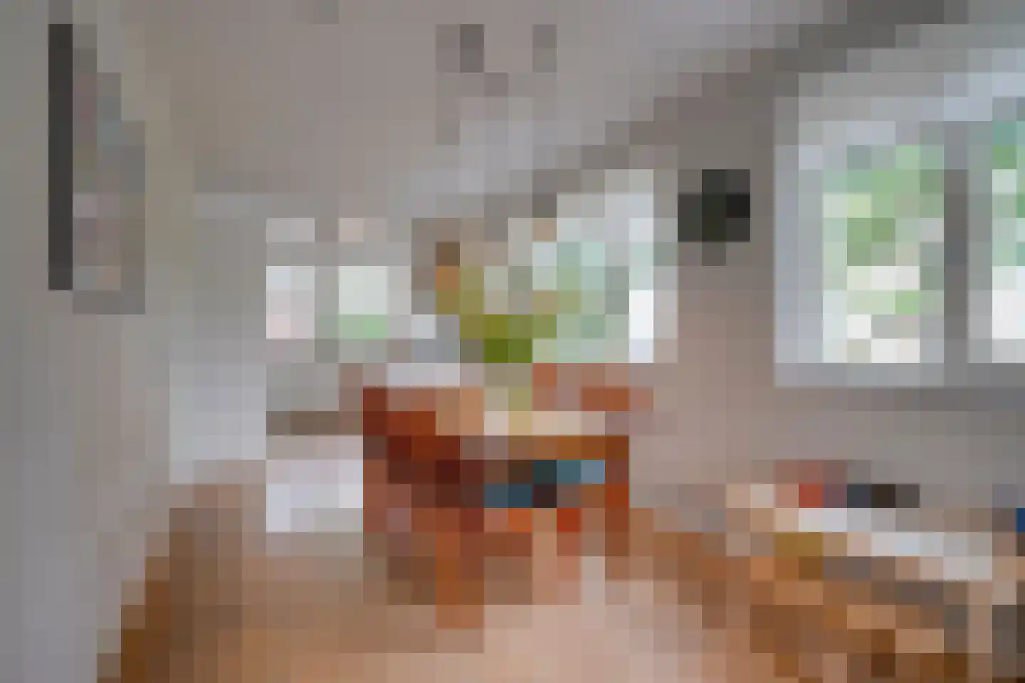 Oranje-Nassaulaan 9 Utrecht thumbnail 9