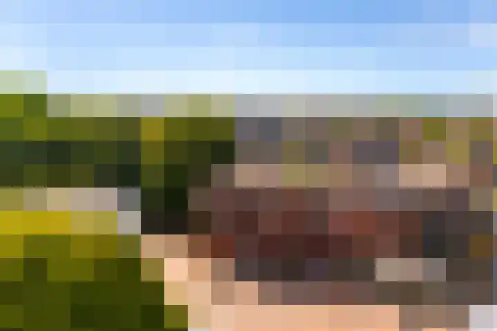 Oranje Nassauplein 21 B Eerbeek thumbnail 18