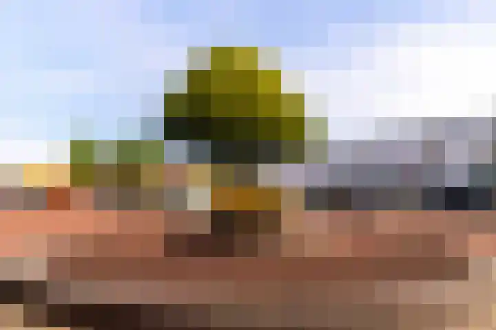 Oranje Nassauplein 21 B Eerbeek thumbnail 25