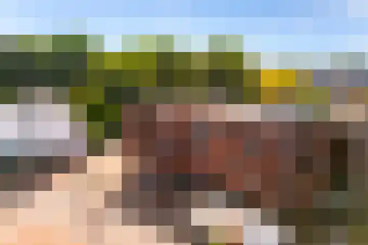 Oranje Nassauplein 21 B Eerbeek thumbnail 26