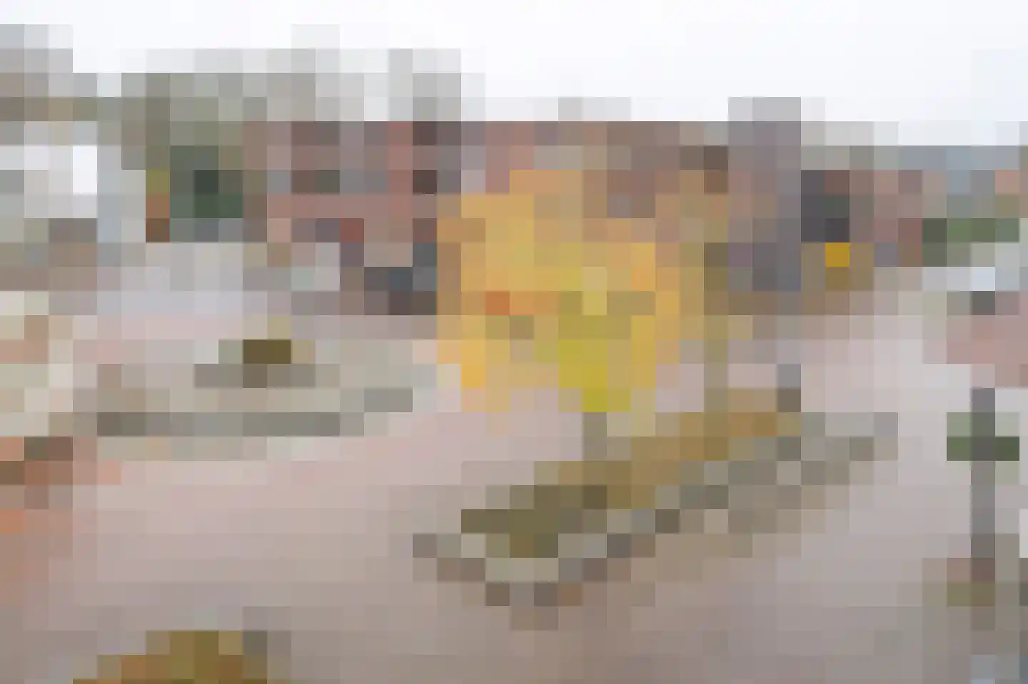 Oranje Nassauplein 33 Eerbeek thumbnail 13