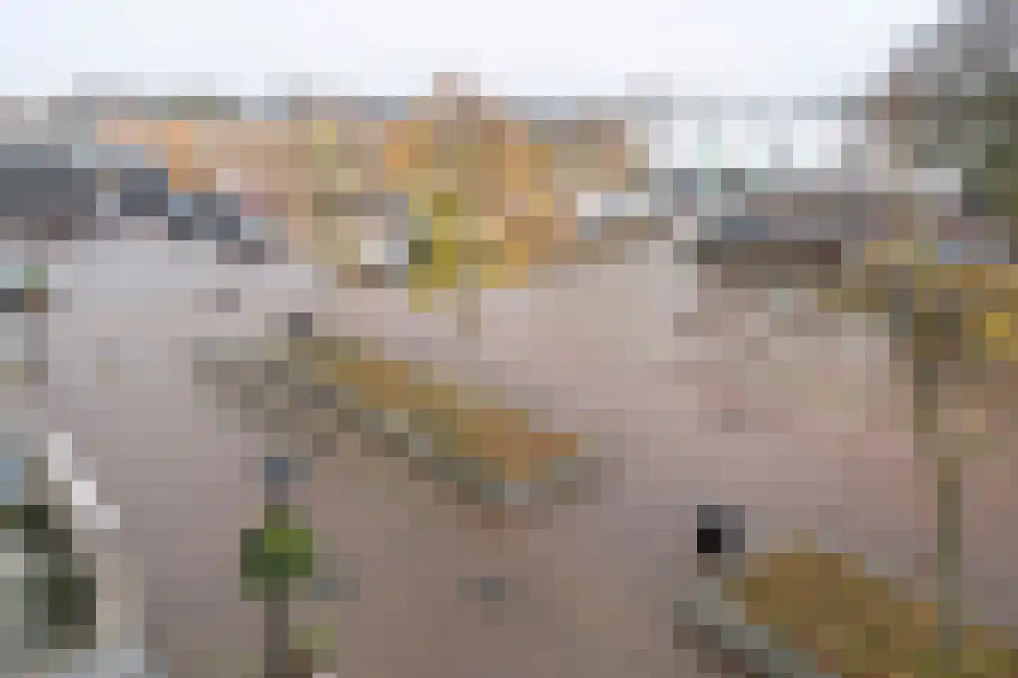 Oranje Nassauplein 33 Eerbeek thumbnail 22