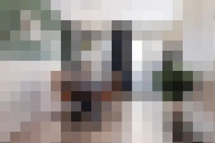 Oranje Nassauplein 5 Eerbeek thumbnail 12