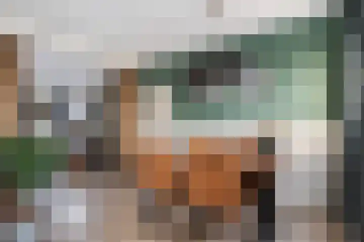 Oranje Nassauplein 5 Eerbeek thumbnail 13