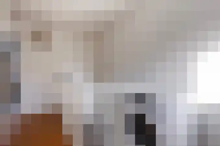 Oranje Nassauplein 5 Eerbeek thumbnail 18