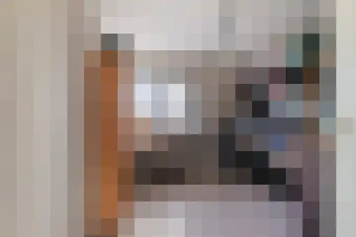Oranje Nassauplein 5 Eerbeek thumbnail 19