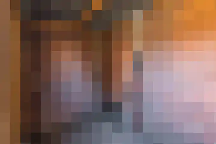 Oranje Nassauplein 5 Eerbeek thumbnail 33