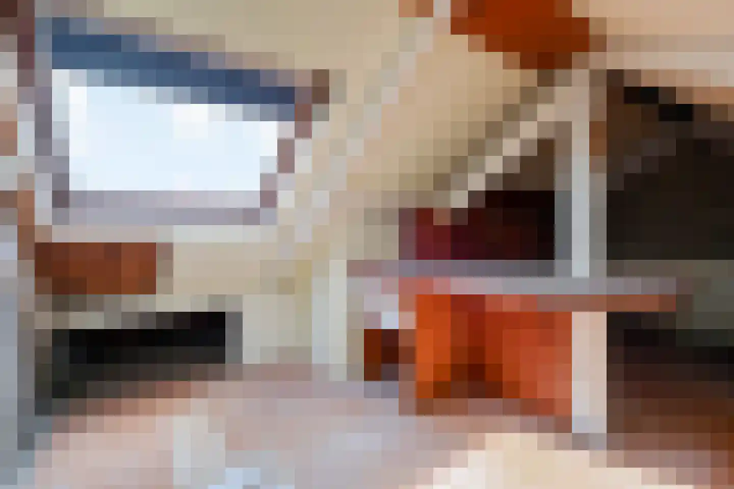 Oranje Nassaustraat 17 Voorburg thumbnail 21