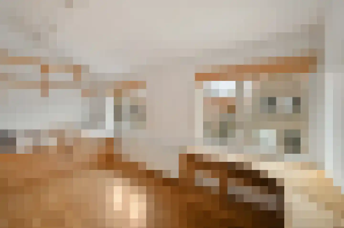 Oranje Nassaustraat 24 Voorburg thumbnail 23