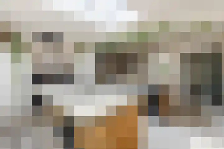 Oranje Nassaustraat 3 Grave thumbnail 15