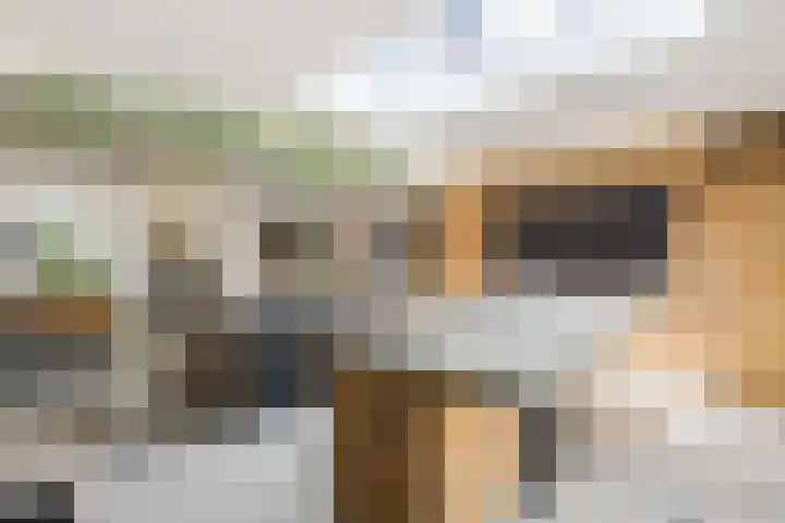 Oranje Nassaustraat 3 Grave thumbnail 4