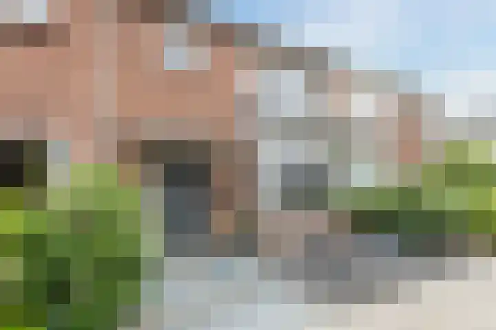 Oranje Nassaustraat 3 Grave thumbnail 44
