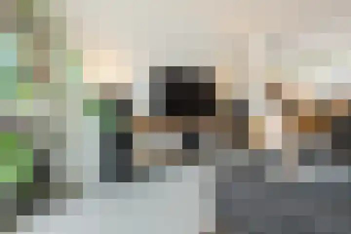 Oranje Nassaustraat 3 Grave thumbnail 9