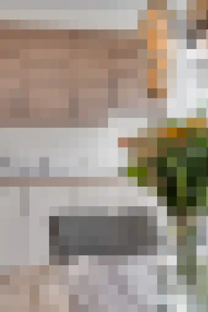 Oranje Nassaustraat 31 Middelharnis thumbnail 8