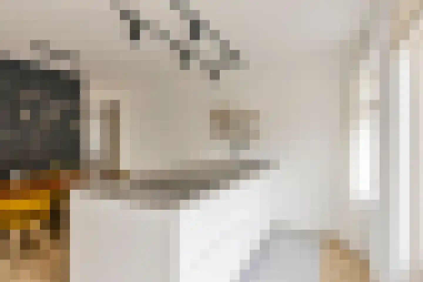 Oranje Nassaustraat 4 Halfweg thumbnail 12