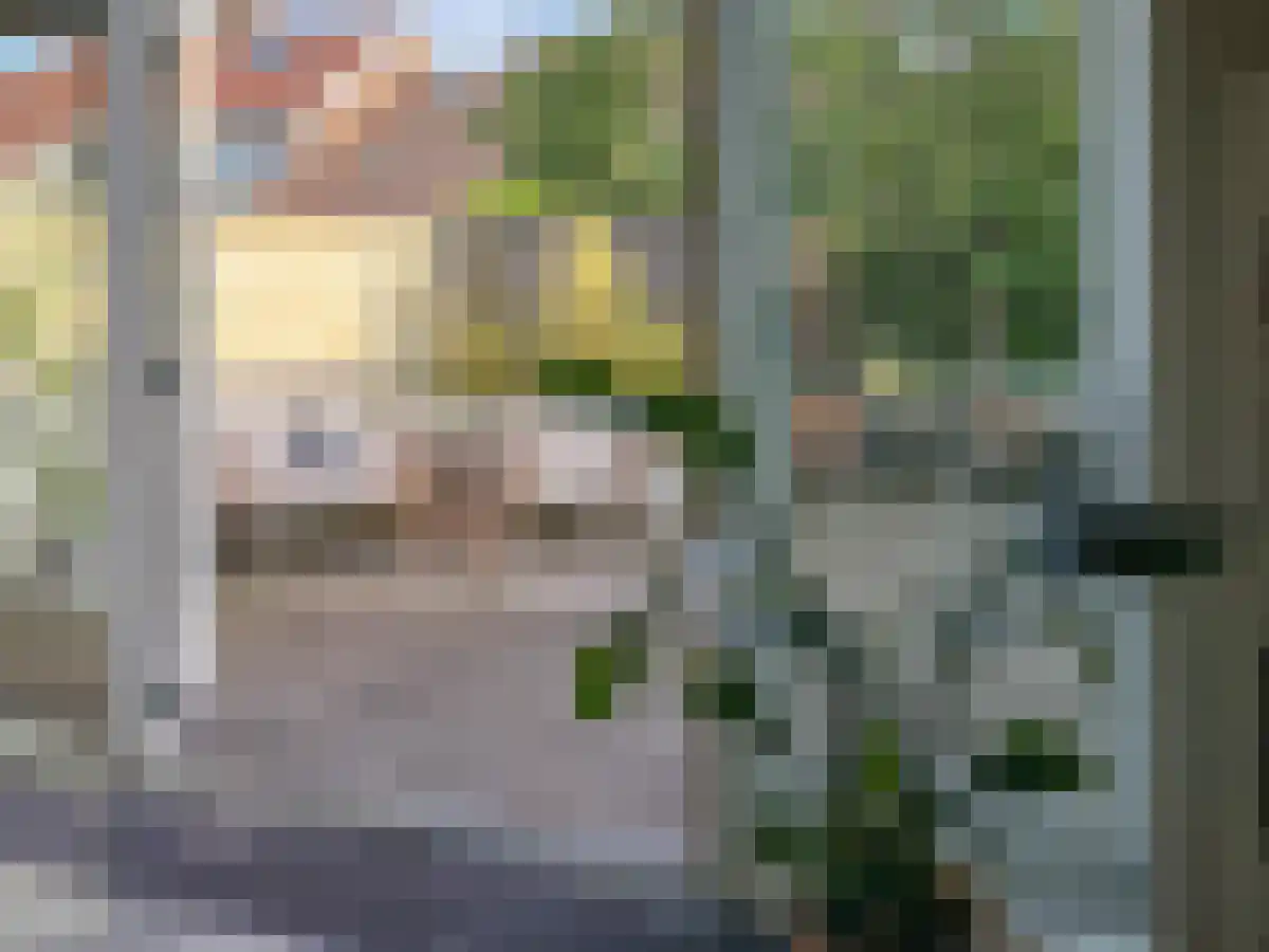 Oranje Nassaustraat 40 Noordwijk thumbnail 6