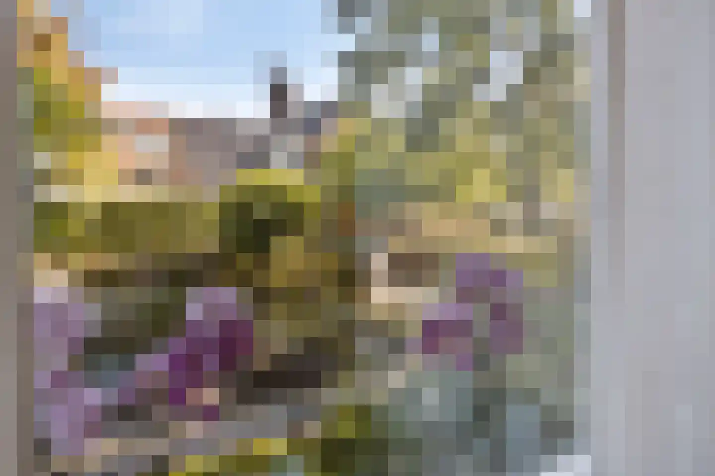 Oranje Nassaustraat 5 Elst thumbnail 29