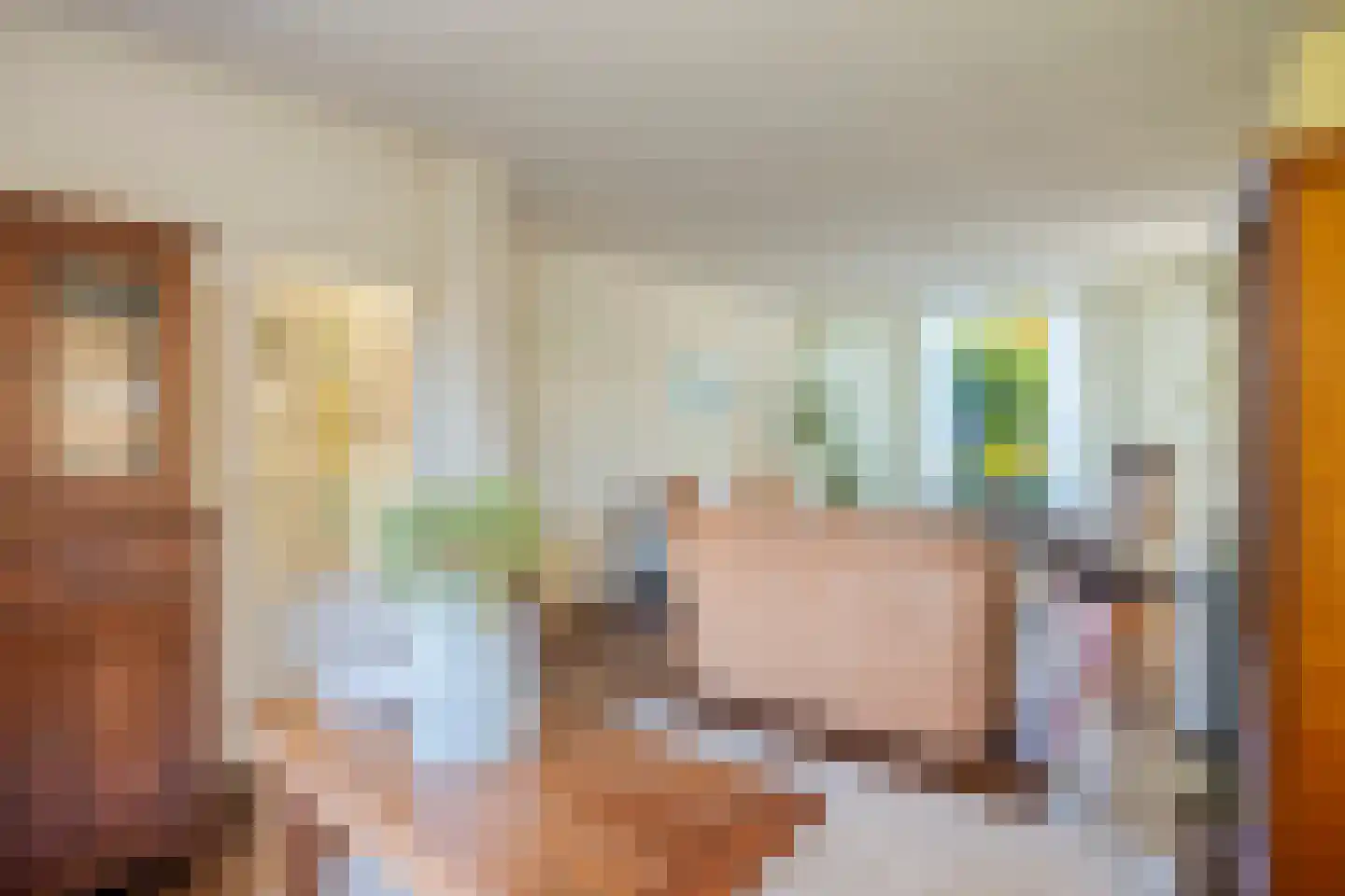 Oranje Nassaustraat 5 Elst thumbnail 32