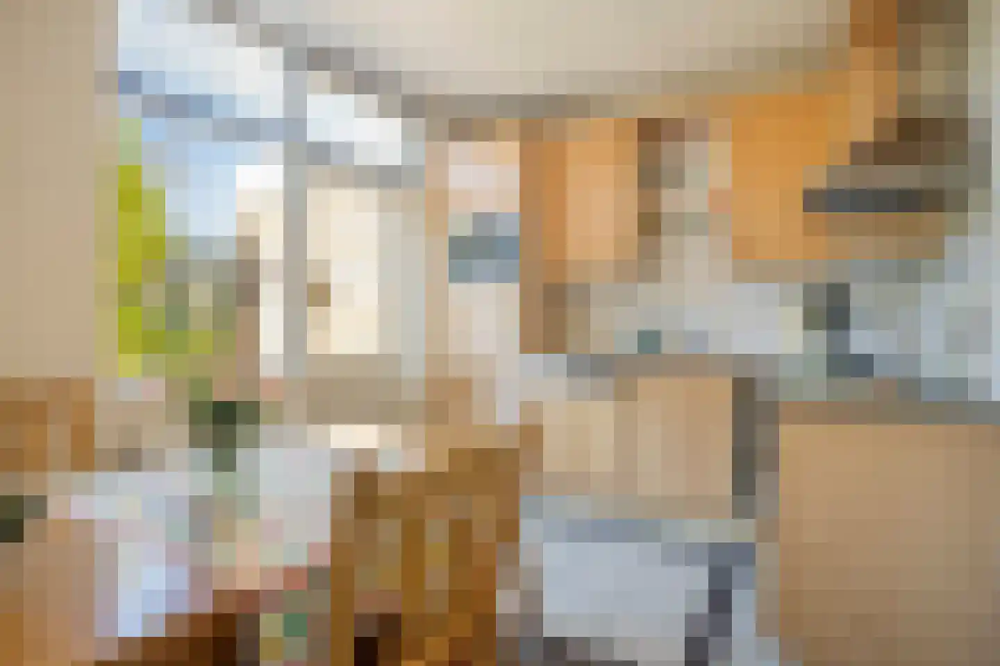 Oranje Nassaustraat 5 Elst thumbnail 33
