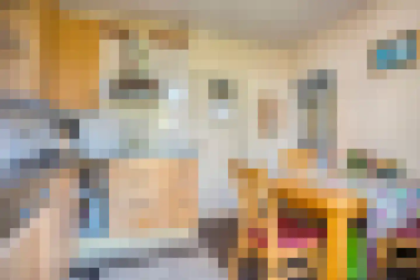 Oranje Nassaustraat 5 Elst thumbnail 34