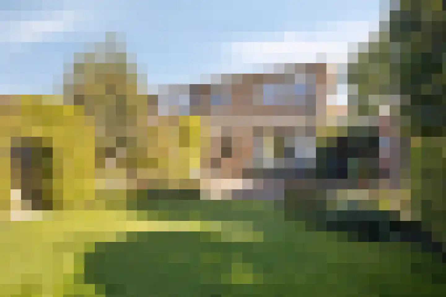 Oranje Nassaustraat 5 Elst thumbnail 35