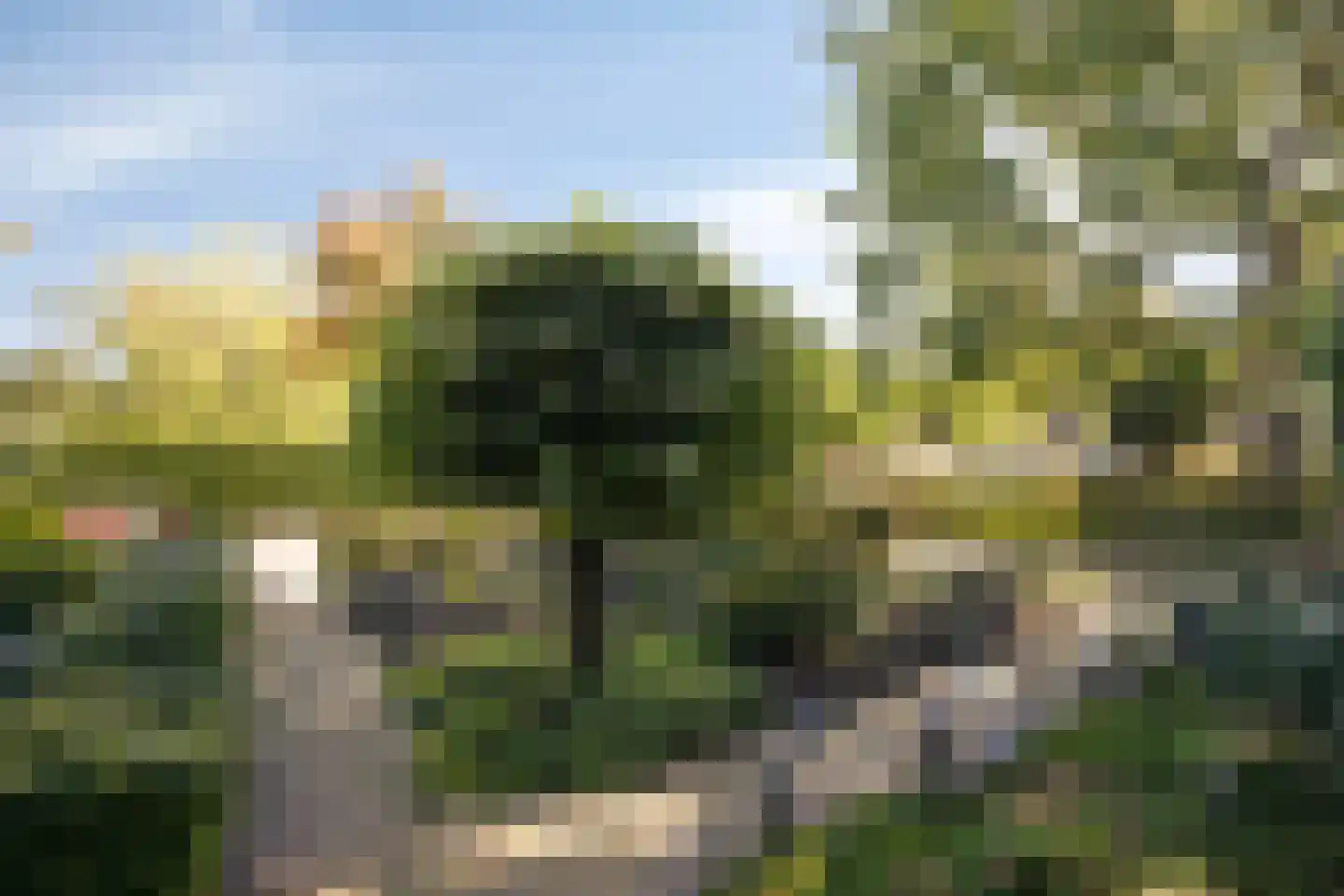 Oranje Nassaustraat 5 Elst thumbnail 36