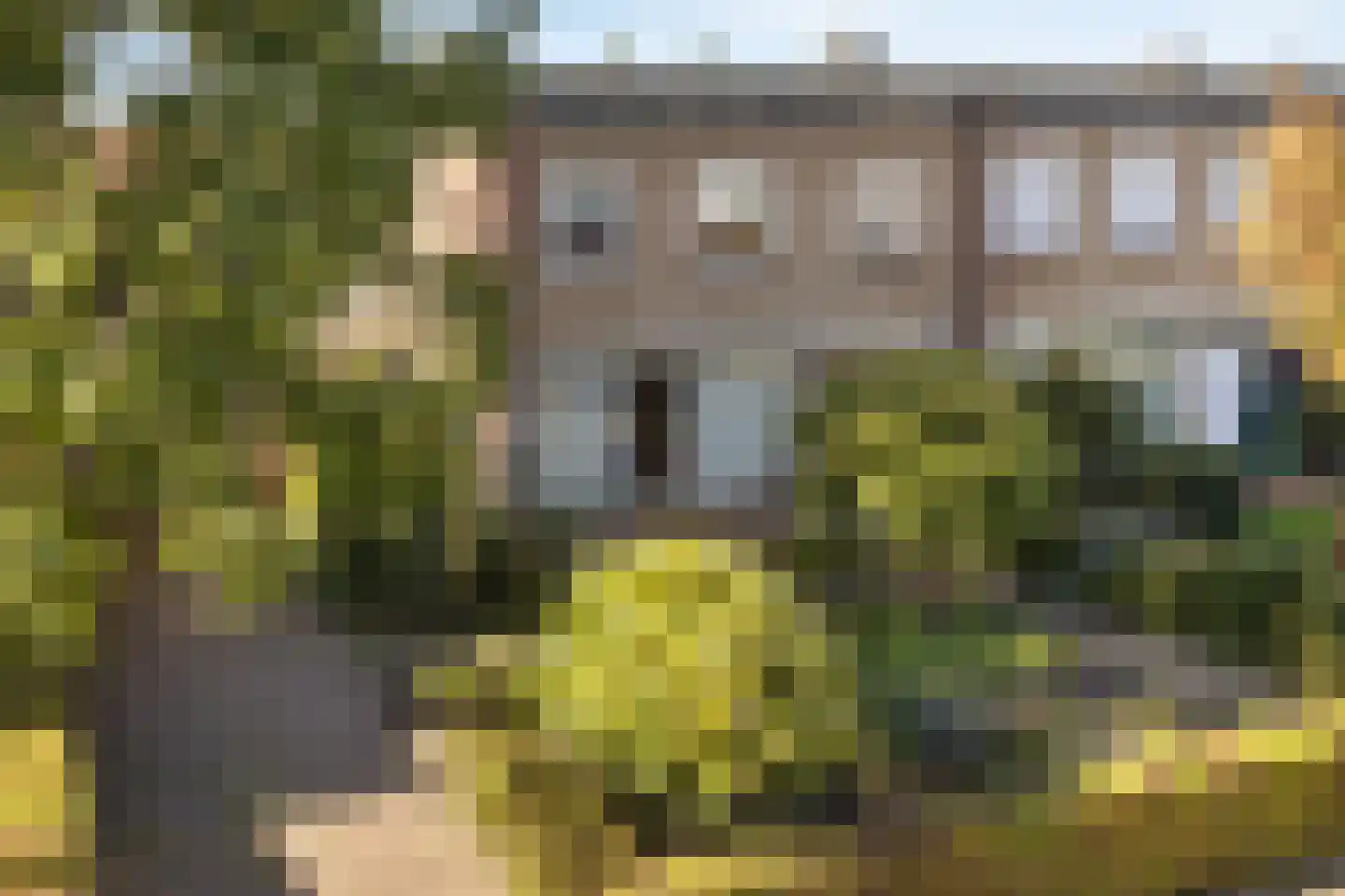 Oranje Nassaustraat 5 Elst thumbnail 6