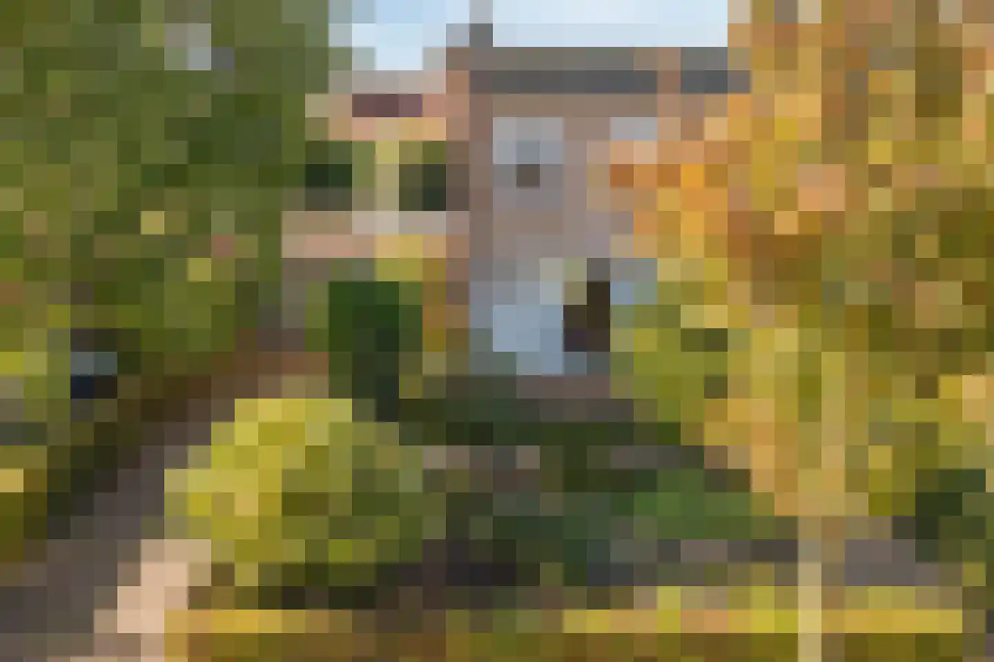 Oranje Nassaustraat 5 Elst thumbnail 7