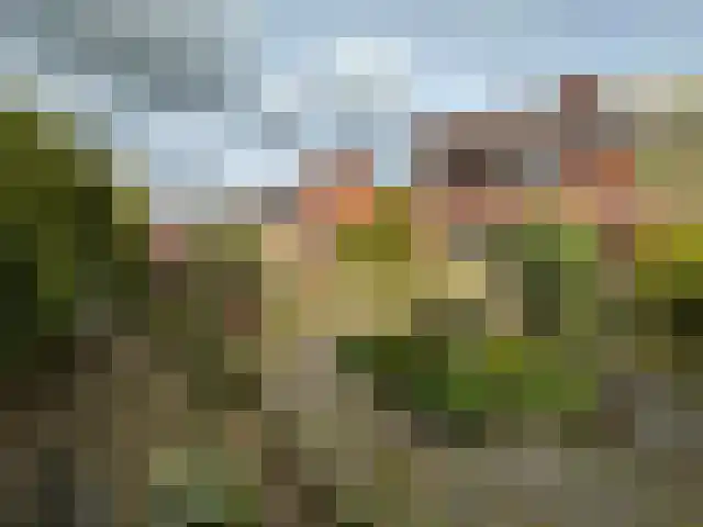 Oranje Nassaustraat 7 Oeffelt thumbnail 4
