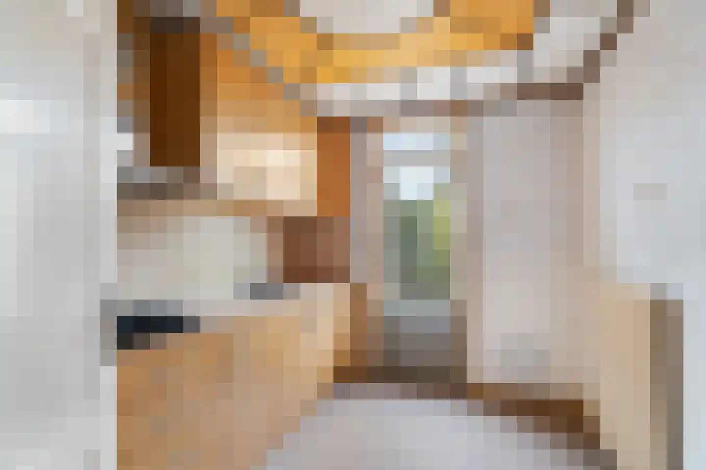 Oranje Nassaustraat 7 Oeffelt thumbnail 9