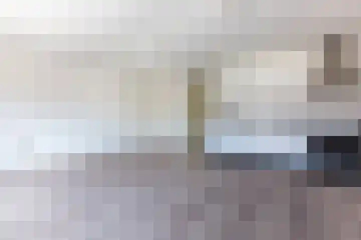 Oranje Pan 11 Almere thumbnail 12