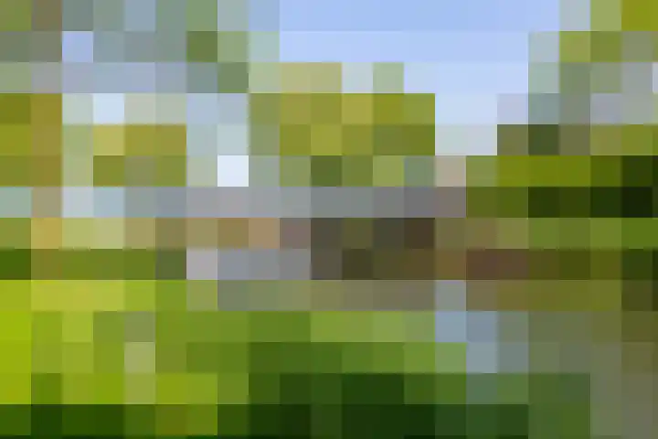 Oranje Pan 11 Almere thumbnail 30