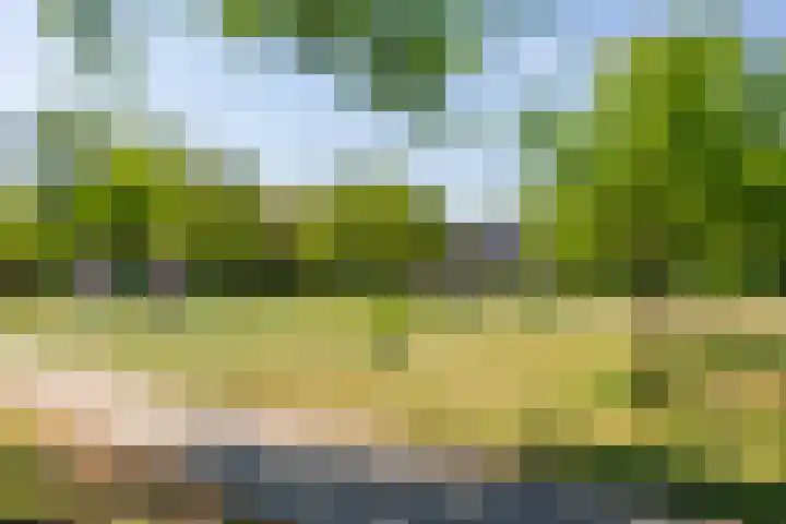 Oranje Pan 11 Almere thumbnail 31