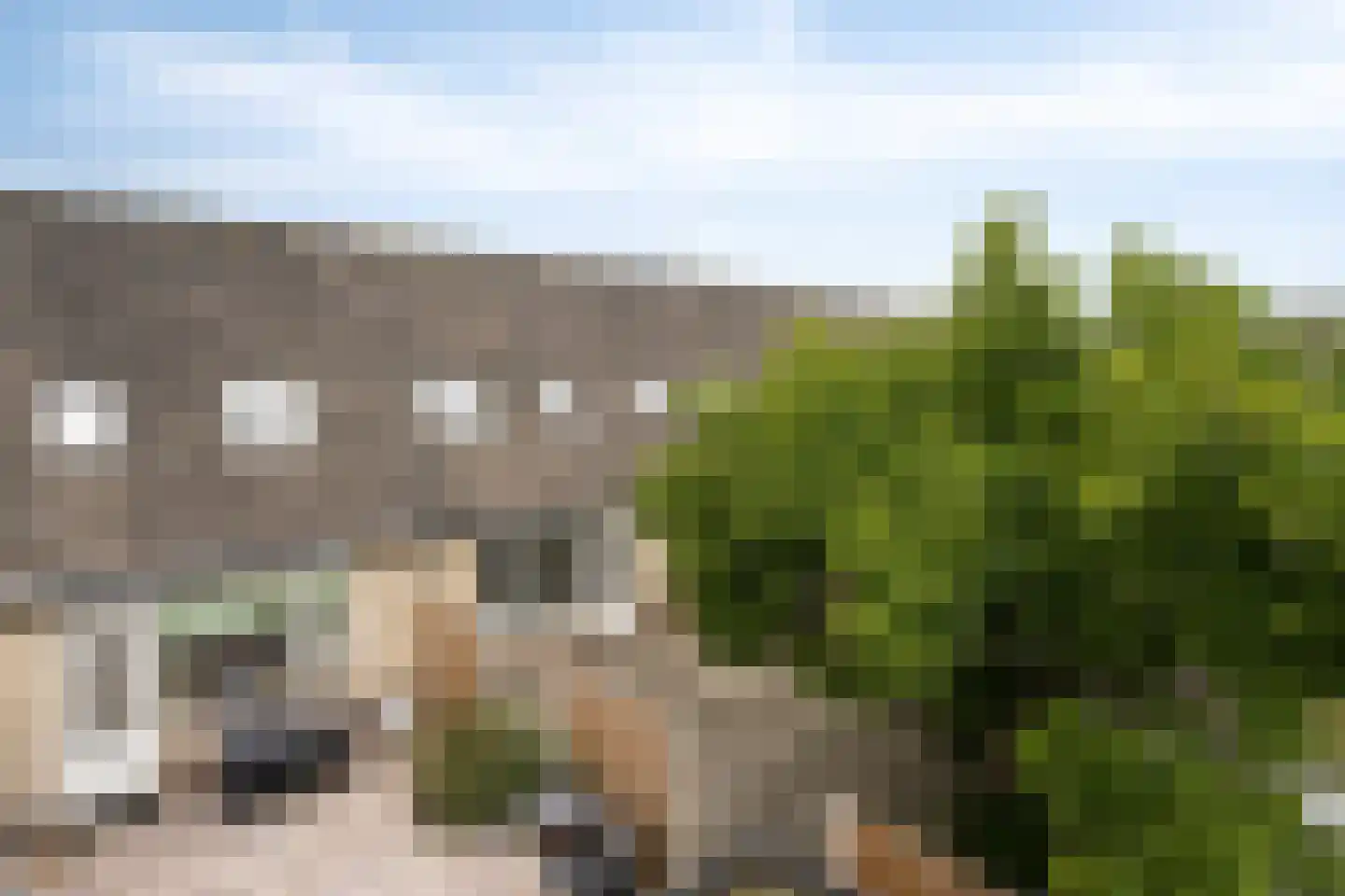 Oranje Pan 6 Almere thumbnail 20