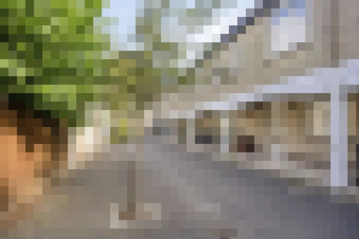 Oranje Pan 6 Almere thumbnail 23