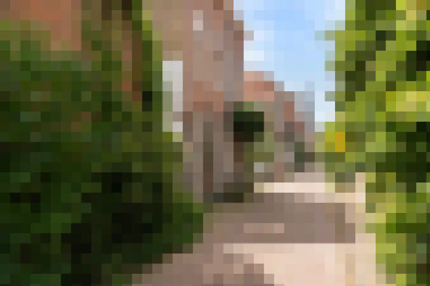 Oranje Plantage 11 Delft thumbnail 36