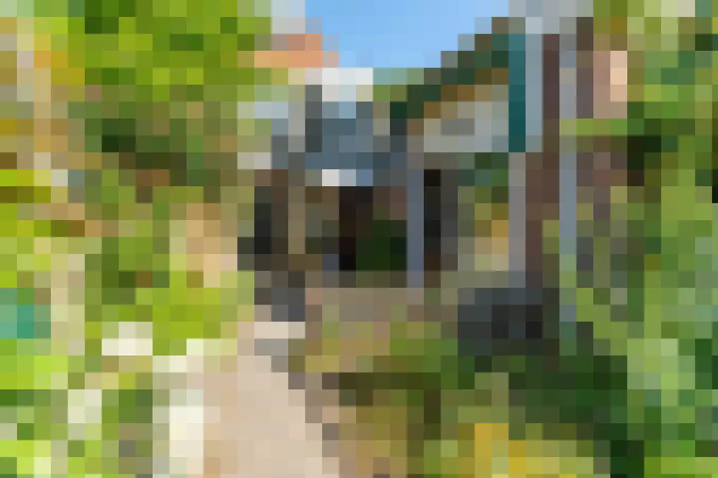 Oranje Plantage 11 Delft thumbnail 41