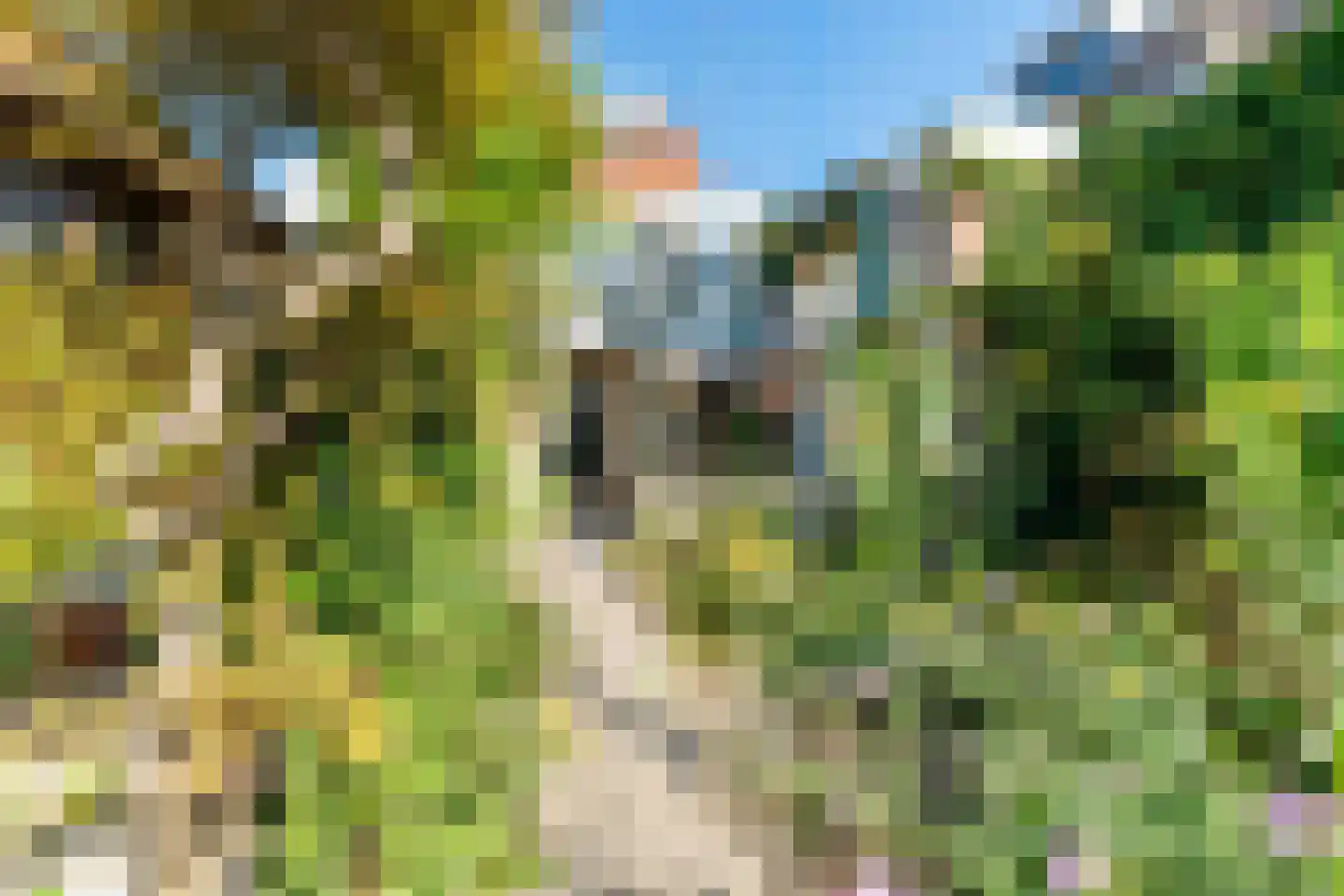 Oranje Plantage 11 Delft thumbnail 42