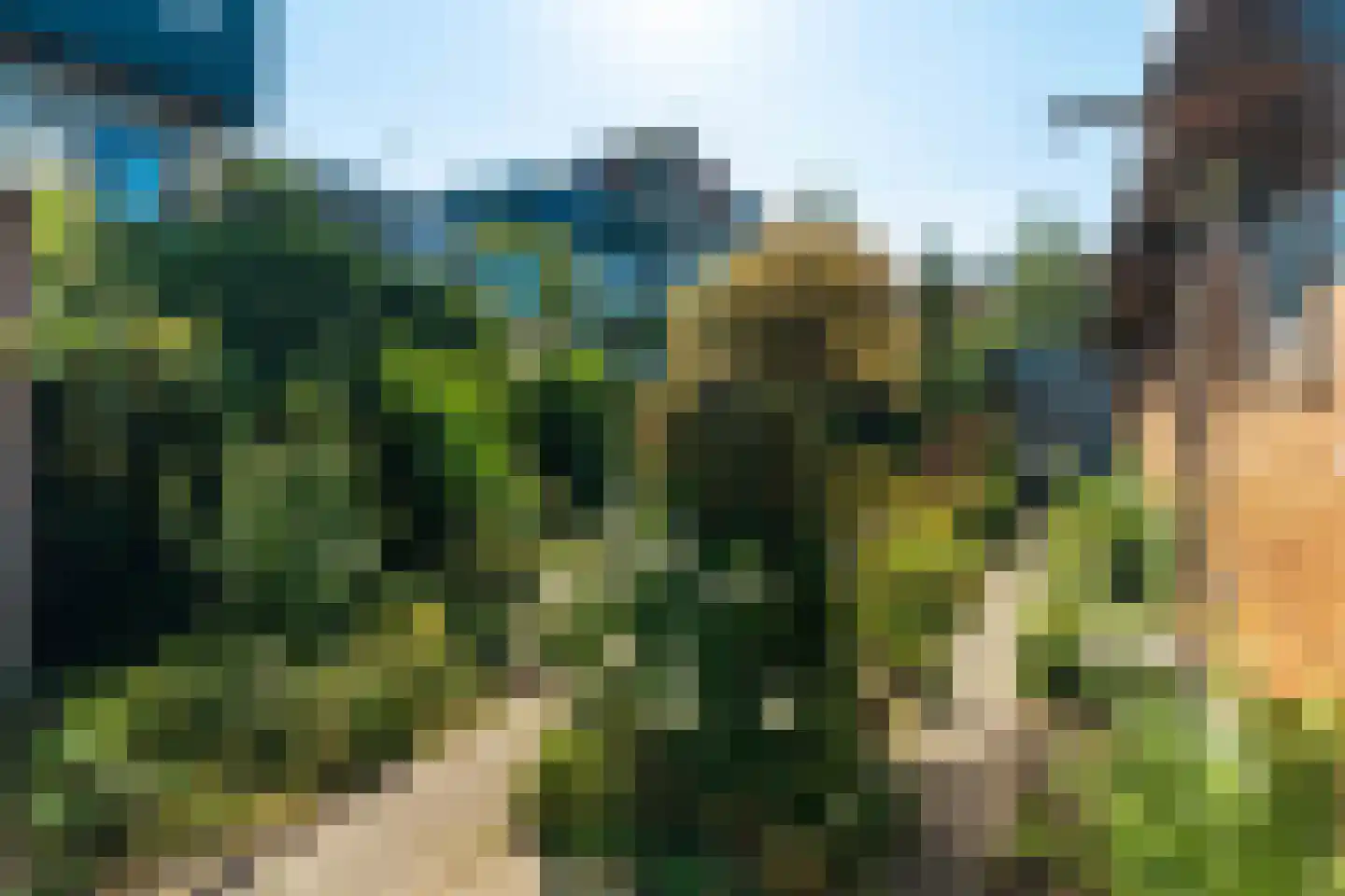 Oranje Plantage 11 Delft thumbnail 47