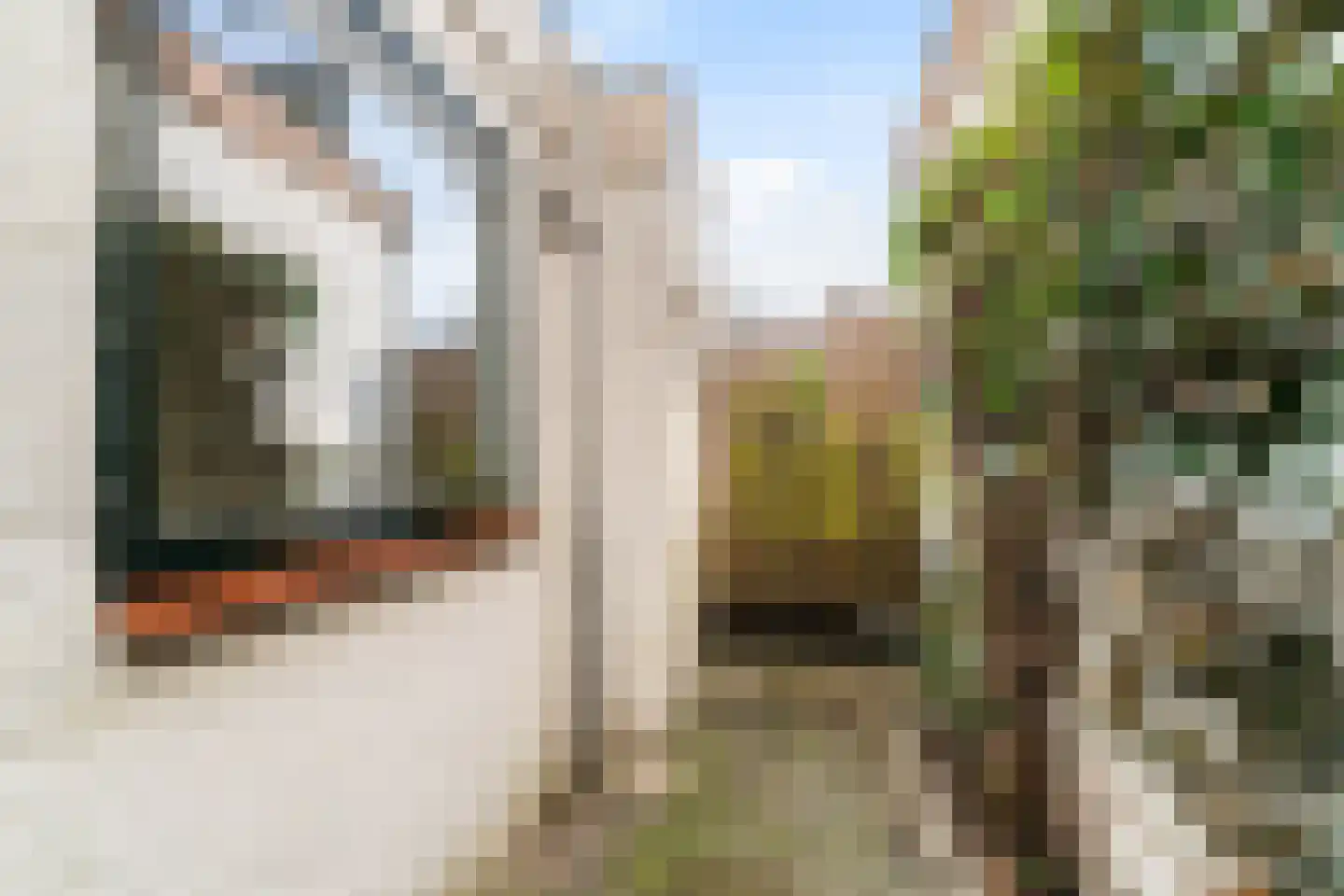 Oranje Plantage 13 Delft thumbnail 18